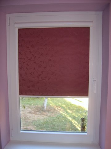 picture 00365